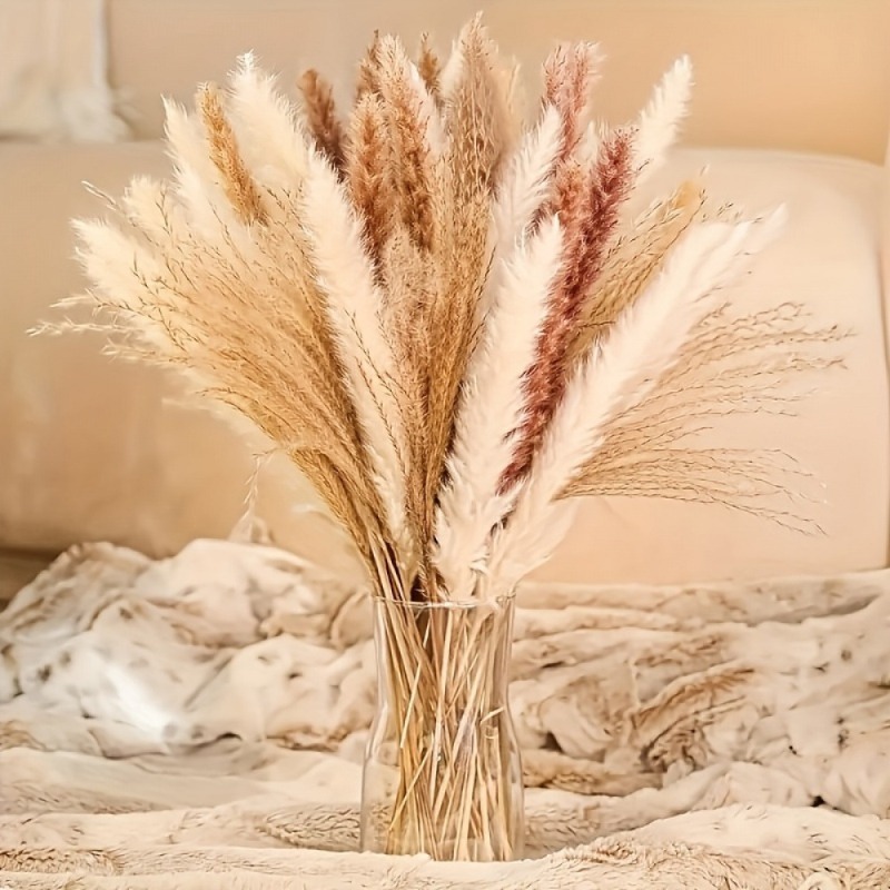 Dried Pampas Bundle - ชุดดอกไม้แห้งผสมโทนสีกลางสไตล์โบโฮ 110 ชิ้น, หญ้าแพมพัส หญ้าหางกระต่าย หญ้าแห้งธรรมชาติ