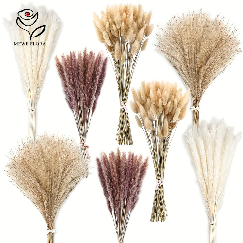 Dried Pampas Bundle - 200 PCS แห้ง Pampas กระต่ายหางหญ้า Big