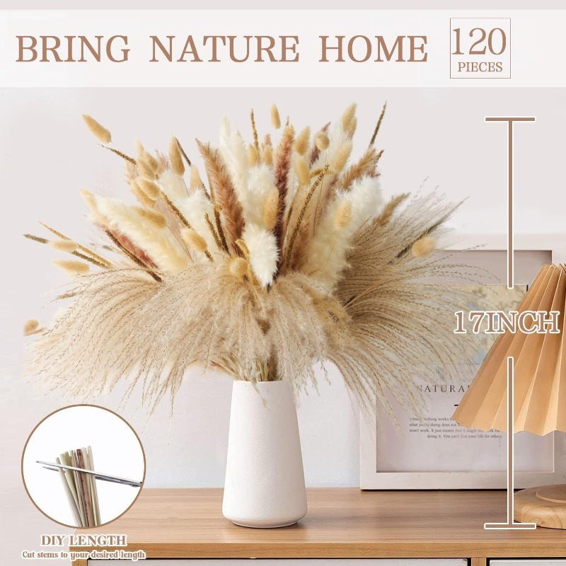 ช่อดอกไม้แห้งผสมโทนสีธรรมชาติส - Dried Pampas Bundle บทวิจารณ์และราคา