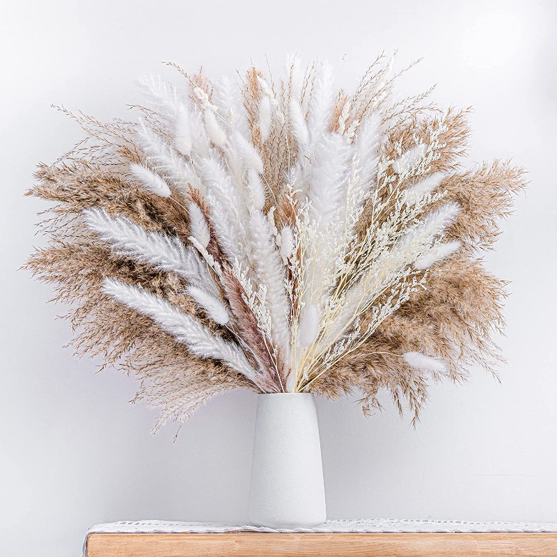 ชุดดอกไม้แห้งผสมสไตล์โบโฮรัสติ - Dried Pampas Bundle บทวิจารณ์และราคา