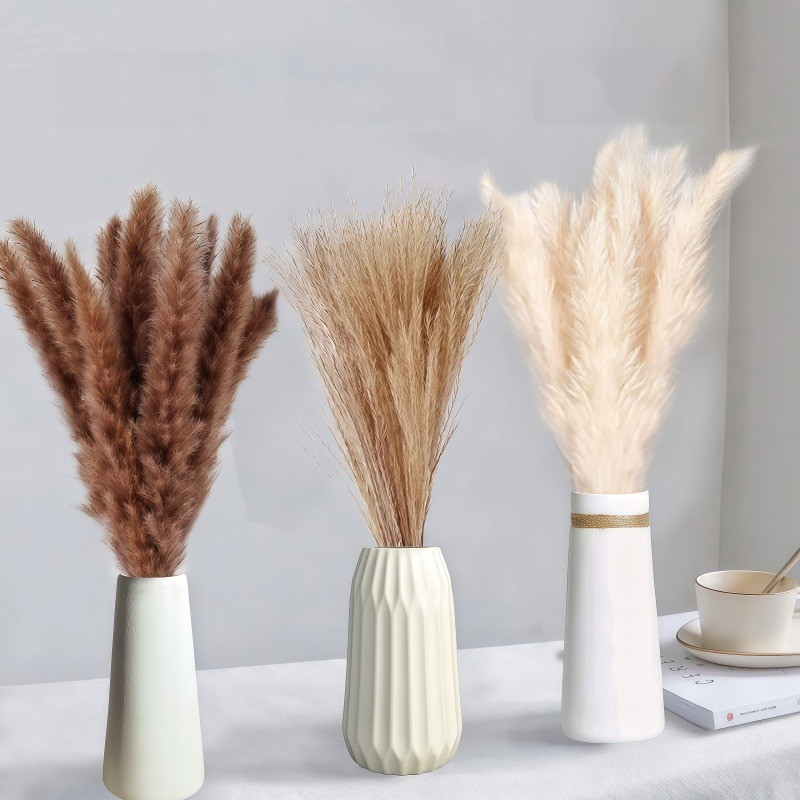 ชุดดอกไม้แห้งผสมสไตล์โบโฮรัสติ - Dried Pampas Bundle บทวิจารณ์และราคา
