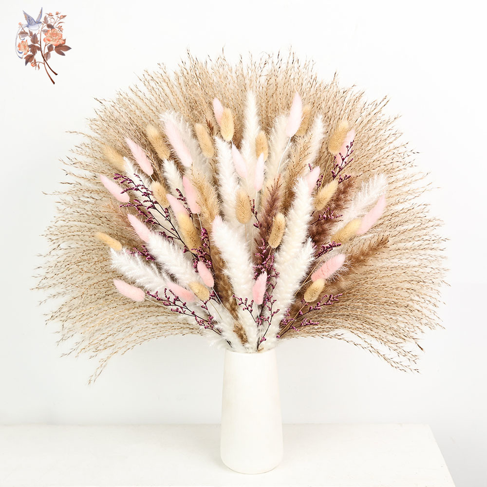 หญ้าหางกระต่ายฟูฟ่องสีชมพู ดอก - Dried Pampas Bundle บทวิจารณ์และราคา