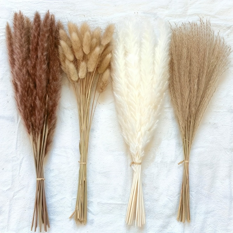 ชุดดอกไม้แห้งผสมโทนสีกลางสไตล์ - Dried Pampas Bundle บทวิจารณ์และราคา