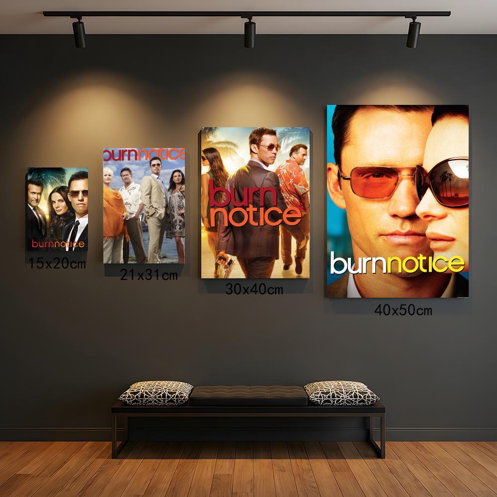 ซีรีส์ทีวี B-Burn Notice-E ภาพ - Interior Design Tv Room บทวิจารณ์และราคา