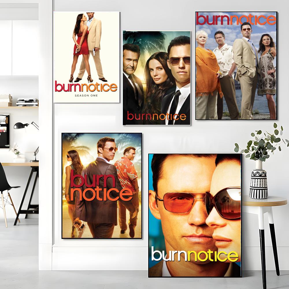 ซีรีส์ทีวี B-Burn Notice-E ภาพ - Interior Design Tv Room บทวิจารณ์และราคา