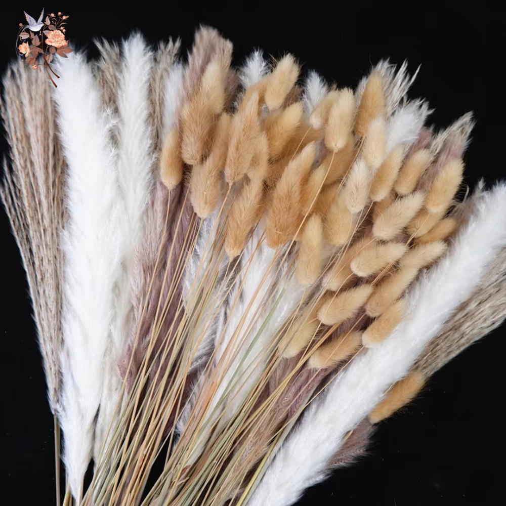ช่อดอกไม้แห้งธรรมชาติผสม แพมพั - Dried Pampas Bundle บทวิจารณ์และราคา
