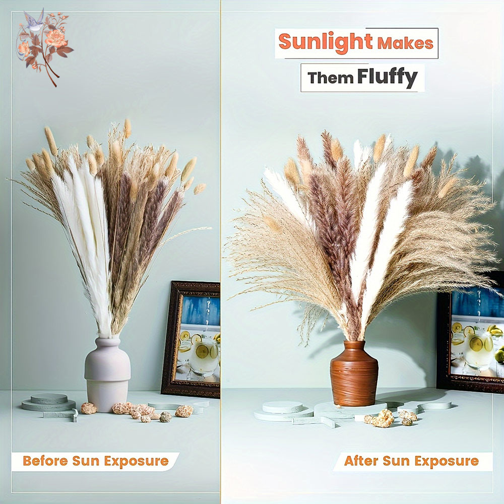 ช่อดอกไม้แห้งธรรมชาติผสม แพมพั - Dried Pampas Bundle บทวิจารณ์และราคา