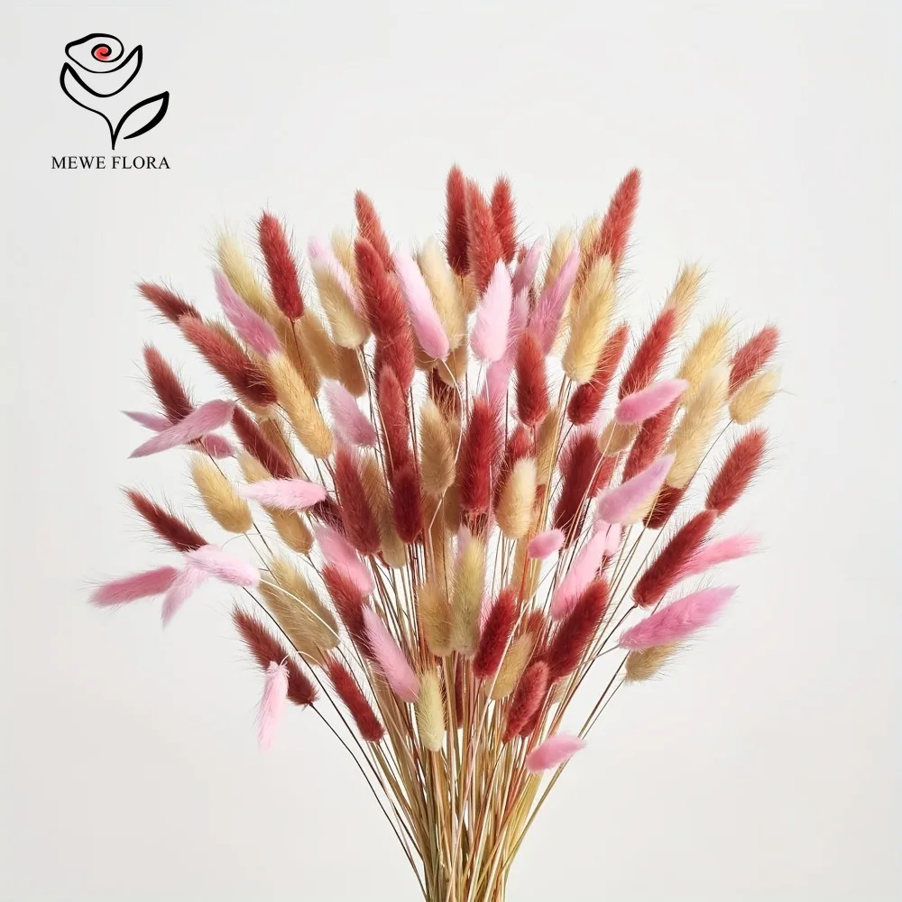 90 ชิ้นผสม 3 สีกระต่ายหางดอกไม - Dried Pampas Bundle บทวิจารณ์และราคา