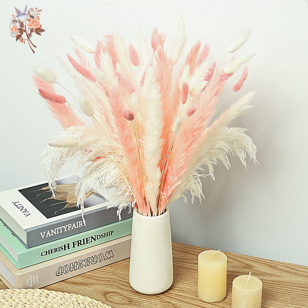 62 ชิ้นสีขาว Reeds สีชมพูหางกร - Dried Pampas Bundle บทวิจารณ์และราคา