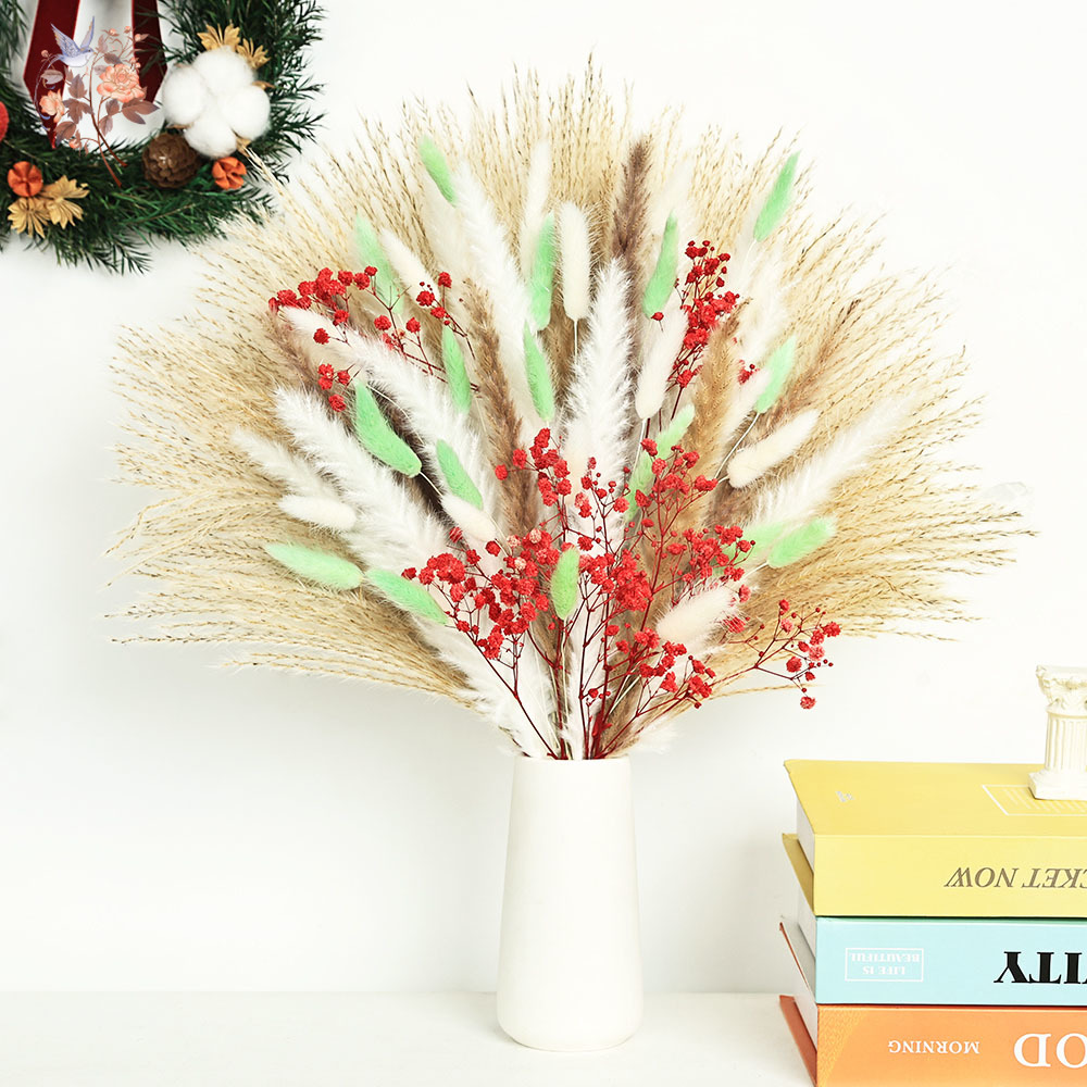 ช่อดอกหญ้าแพมพัสสีเขียวแดงฟูฟ่ - Dried Pampas Bundle บทวิจารณ์และราคา