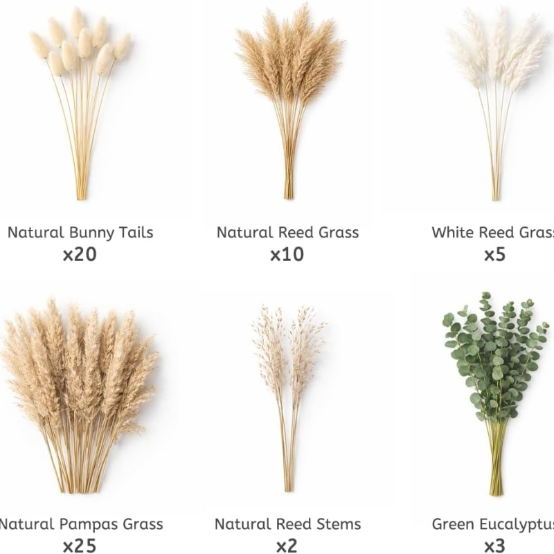 ชุดดอกไม้แห้งธรรมชาติ DIY 65 ช - Dried Pampas Bundle บทวิจารณ์และราคา